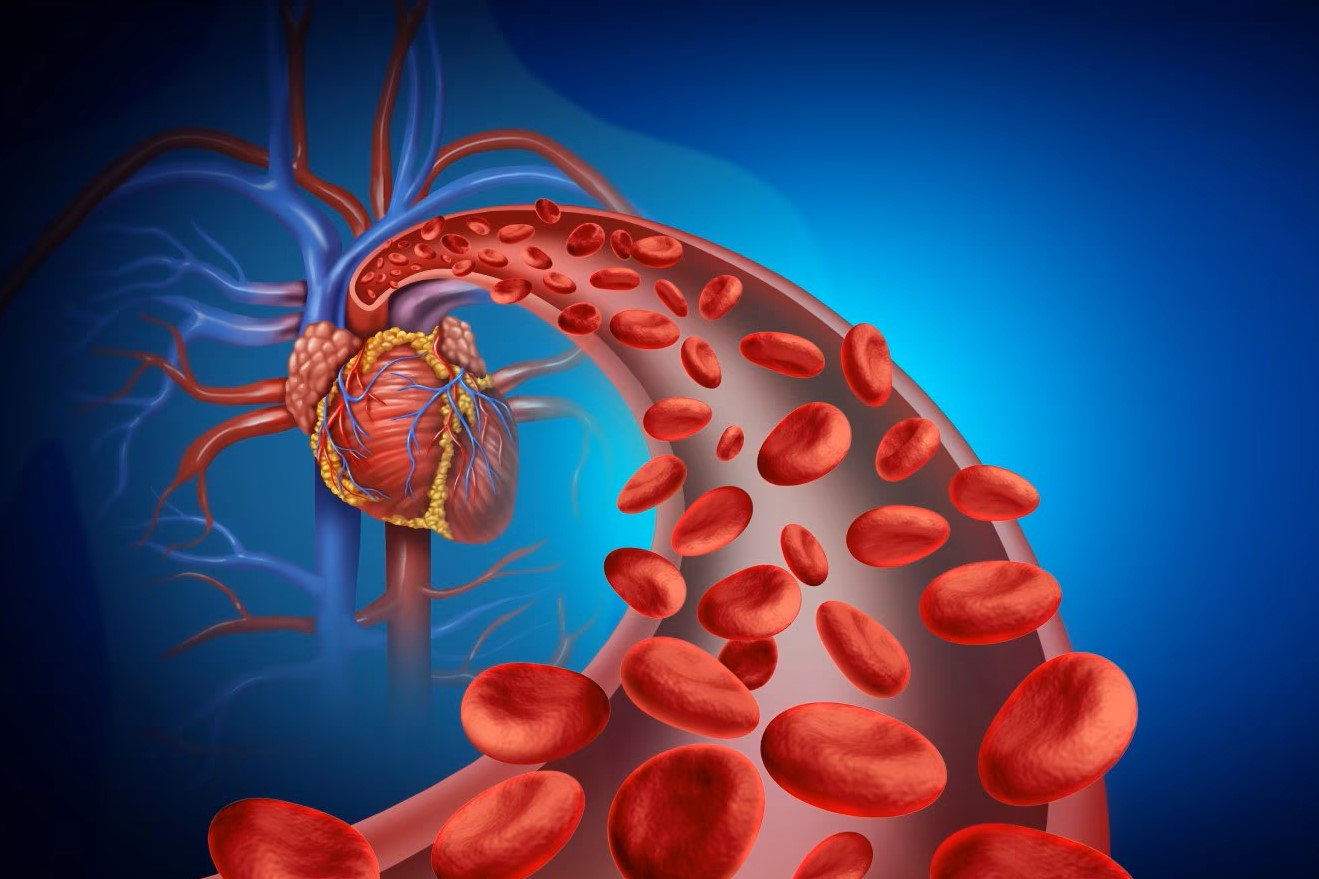 Gangrene Treatment In Hyderabad